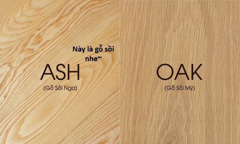 Ngay Cả Khi Hậu Tận Thế, Thật Hạnh Phúc Khi Vẫn Còn Được Sống… (Puchimasu Miếu) Chapter 44.1 - Trang 2