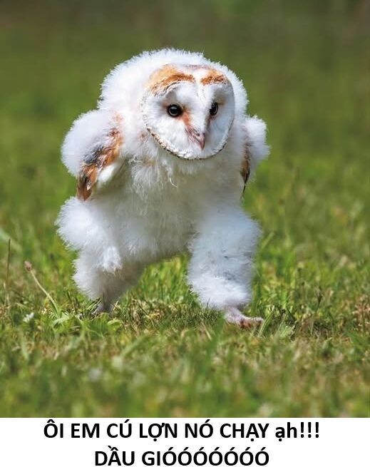 Ngay Cả Khi Hậu Tận Thế, Thật Hạnh Phúc Khi Vẫn Còn Được Sống… (Puchimasu Miếu) Chapter 49.2 - Trang 2