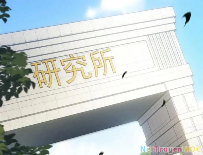 Giải Cứu Thế Giới Bằng Cách Thăng Cấp Chapter 19 - Trang 2