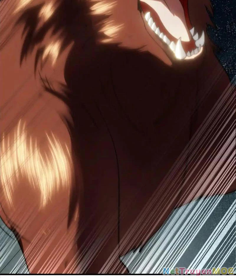 Giải Cứu Thế Giới Bằng Cách Thăng Cấp Chapter 23 - Trang 2