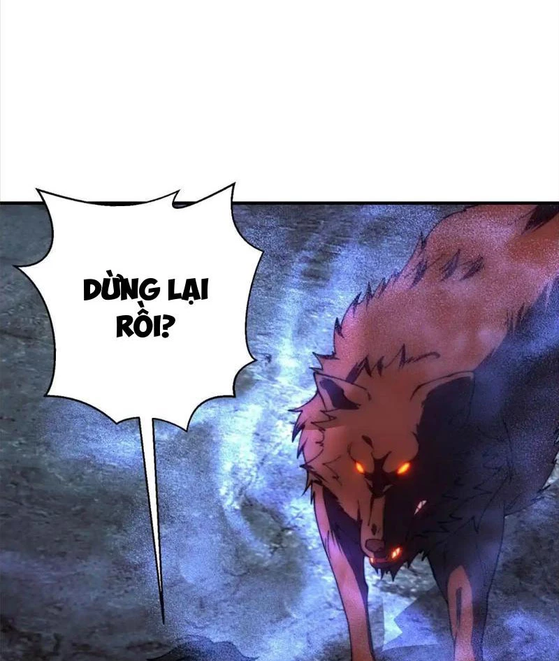 Giải Cứu Thế Giới Bằng Cách Thăng Cấp Chapter 25 - Trang 2