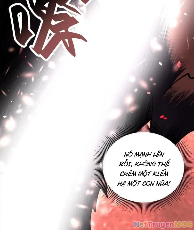 Giải Cứu Thế Giới Bằng Cách Thăng Cấp Chapter 25 - Trang 2