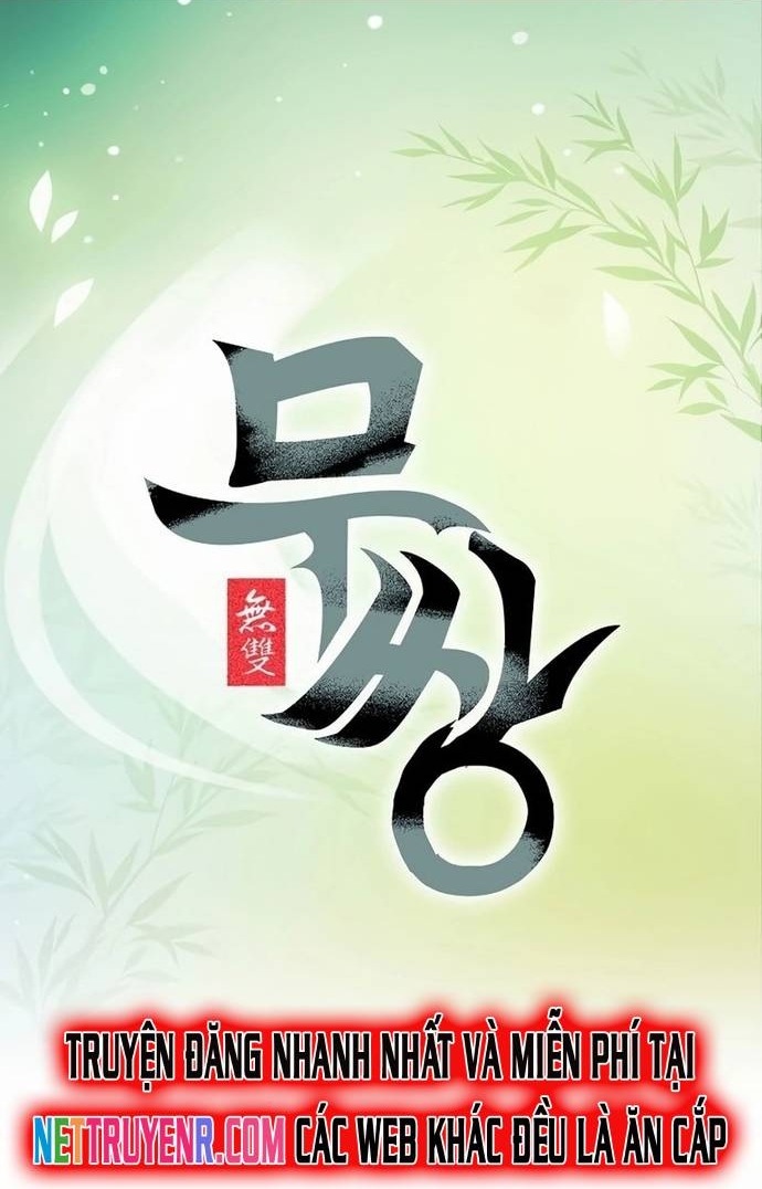 Vô Song Chapter 40 - Trang 2