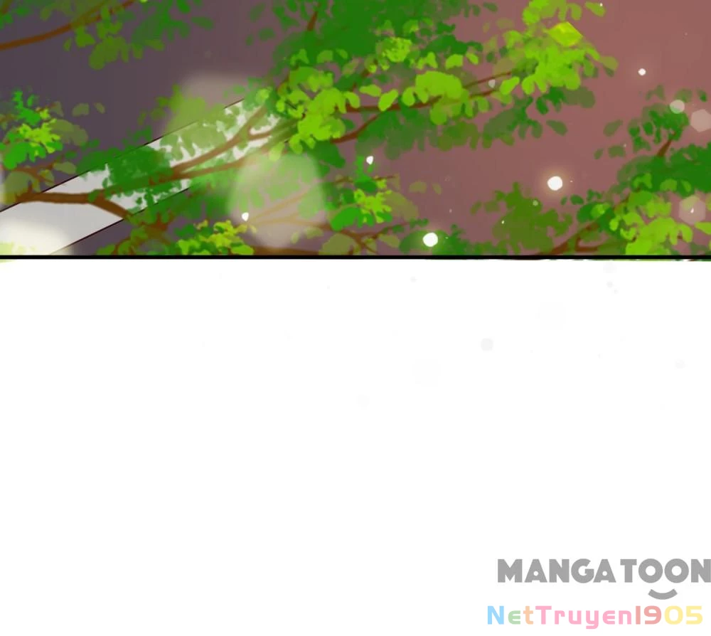 Bạn Gái Scandal Của Quý Thiếu Chapter 66 - Trang 2