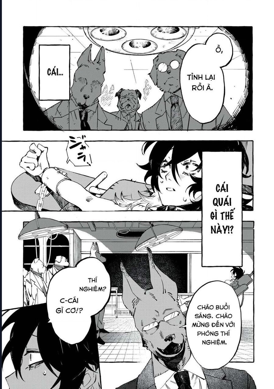Dogmatic Chapter 1 - Trang 2