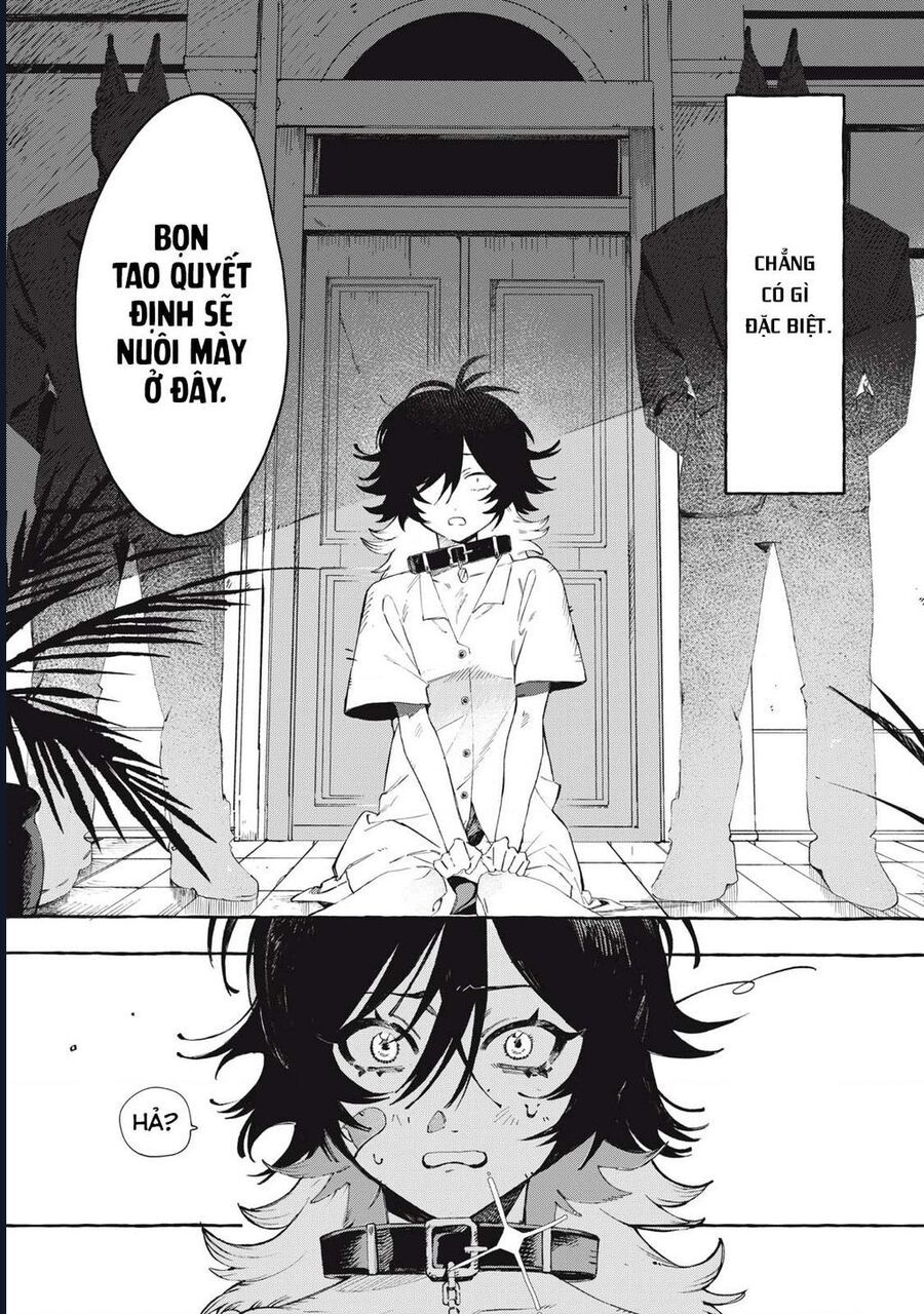 Dogmatic Chapter 1 - Trang 2