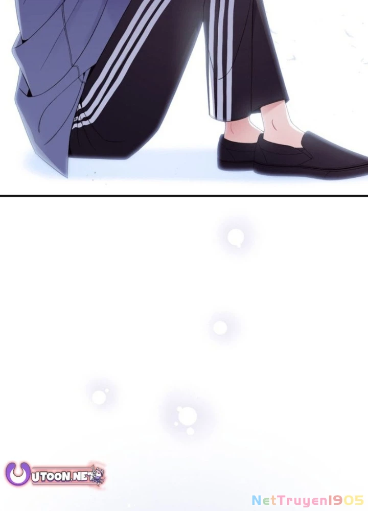 Hướng Dẫn Hồi Quy Dành Cho Thần Tượng Chapter 45 - Trang 2