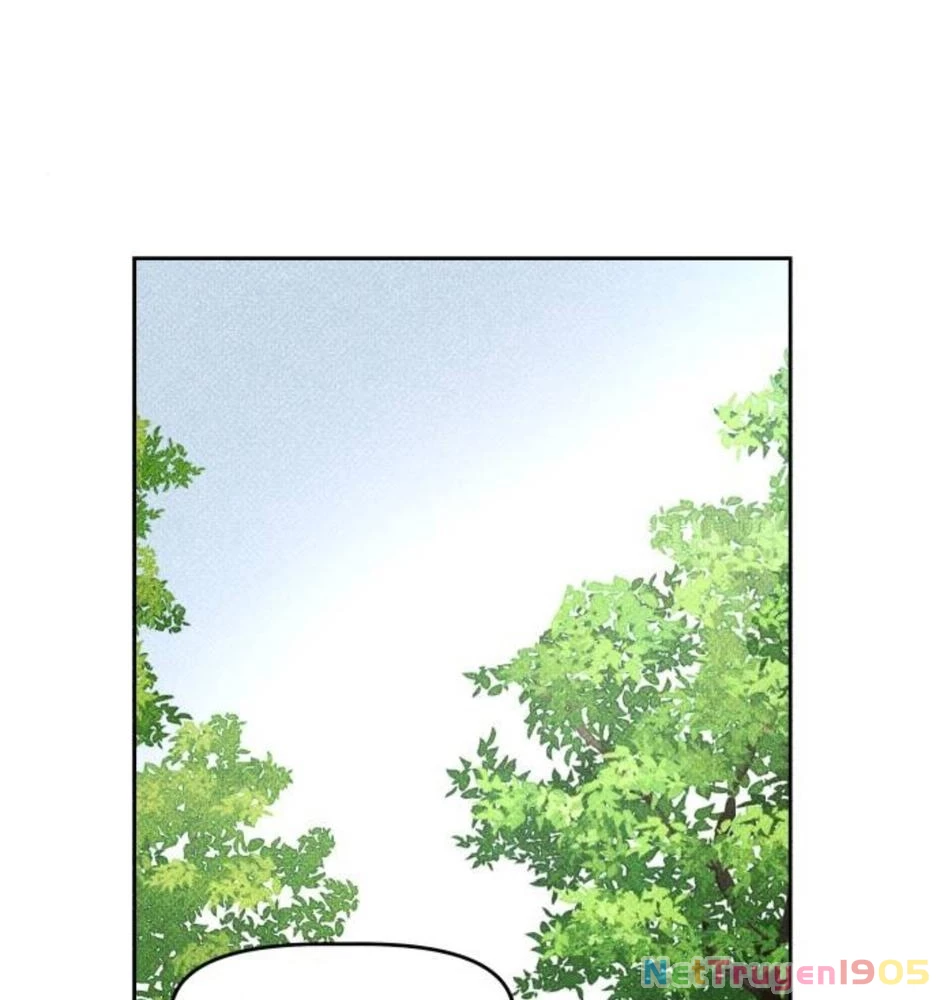 Dự Định Sát Nhân Chapter 17 - Trang 2