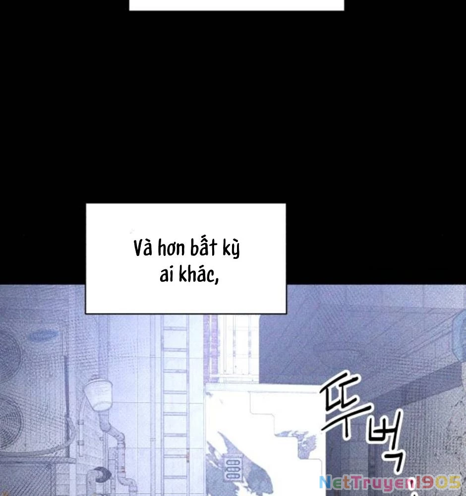 Dự Định Sát Nhân Chapter 19 - Trang 2