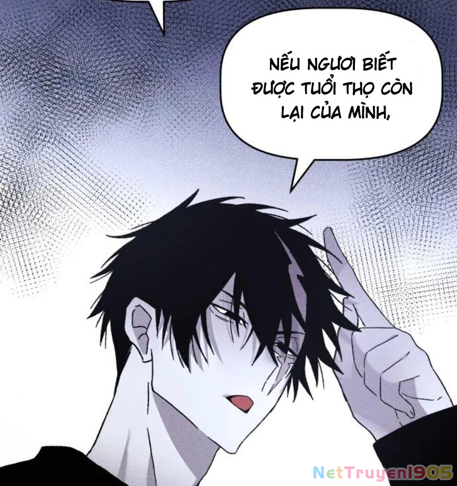 Dự Định Sát Nhân Chapter 19 - Trang 2