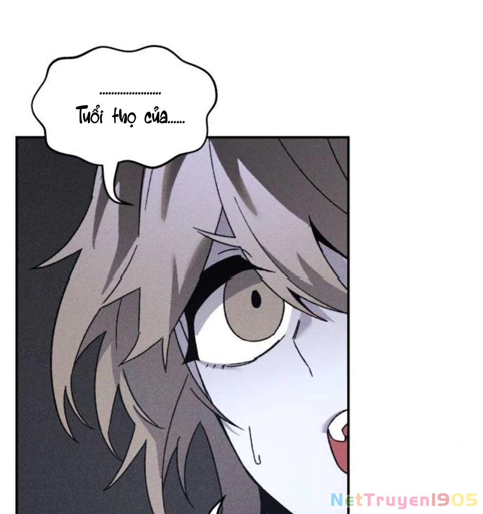 Dự Định Sát Nhân Chapter 19 - Trang 2