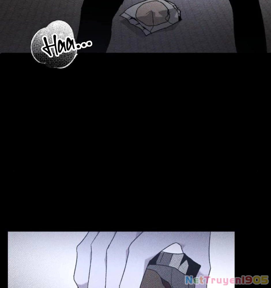 Dự Định Sát Nhân Chapter 20 - Trang 2