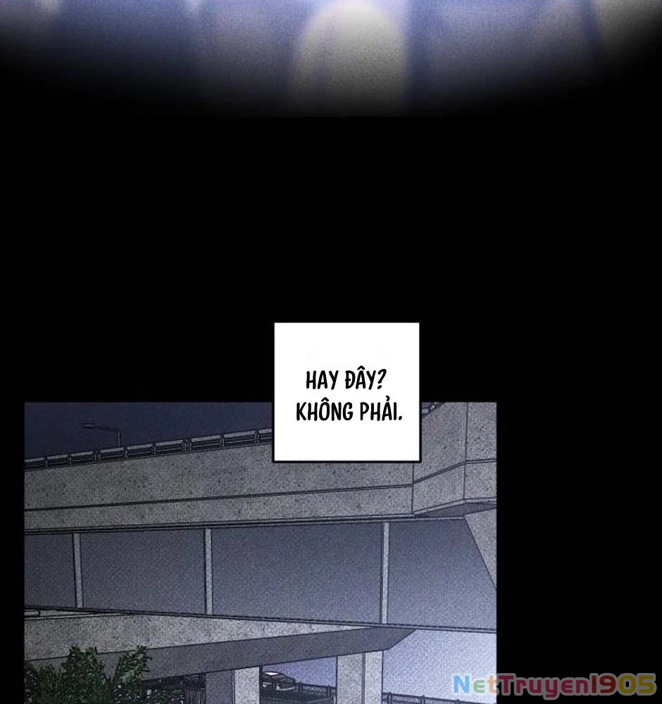 Dự Định Sát Nhân Chapter 24 - Trang 2