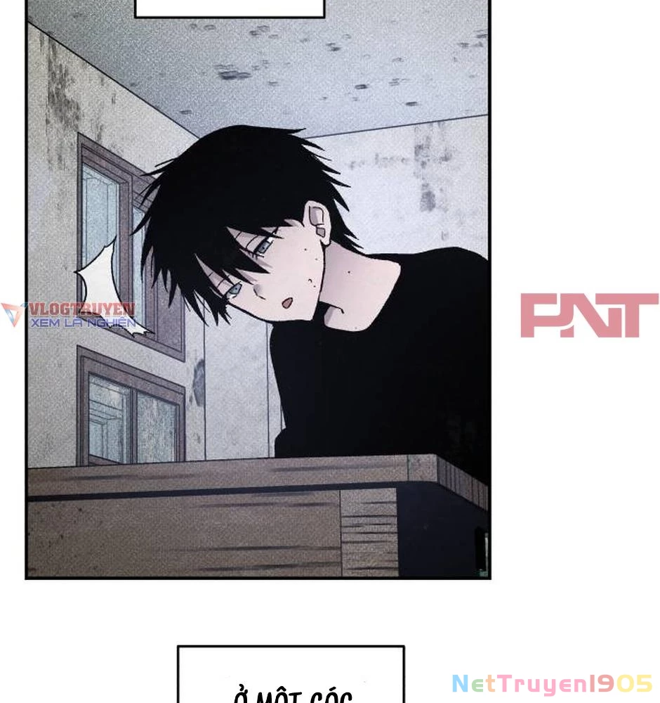 Dự Định Sát Nhân Chapter 24 - Trang 2