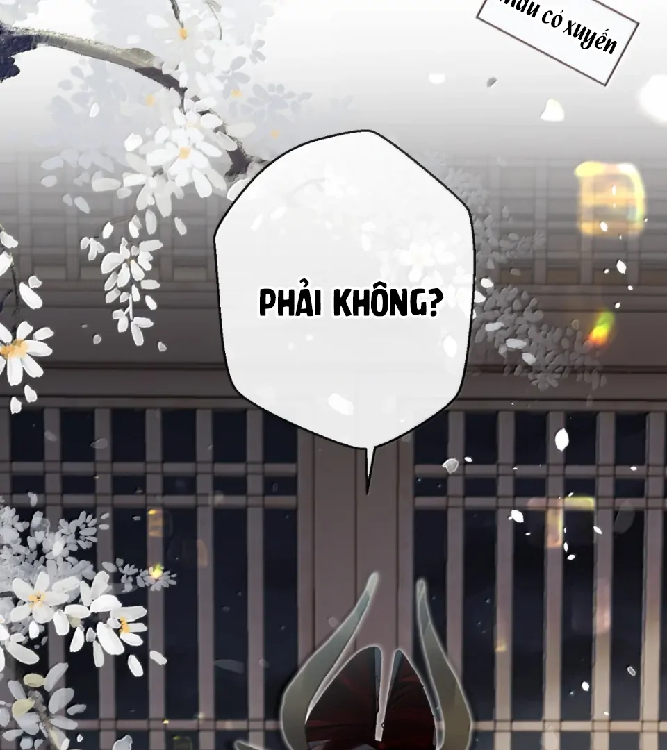 Quấn Quýt Chapter 20 - Trang 2