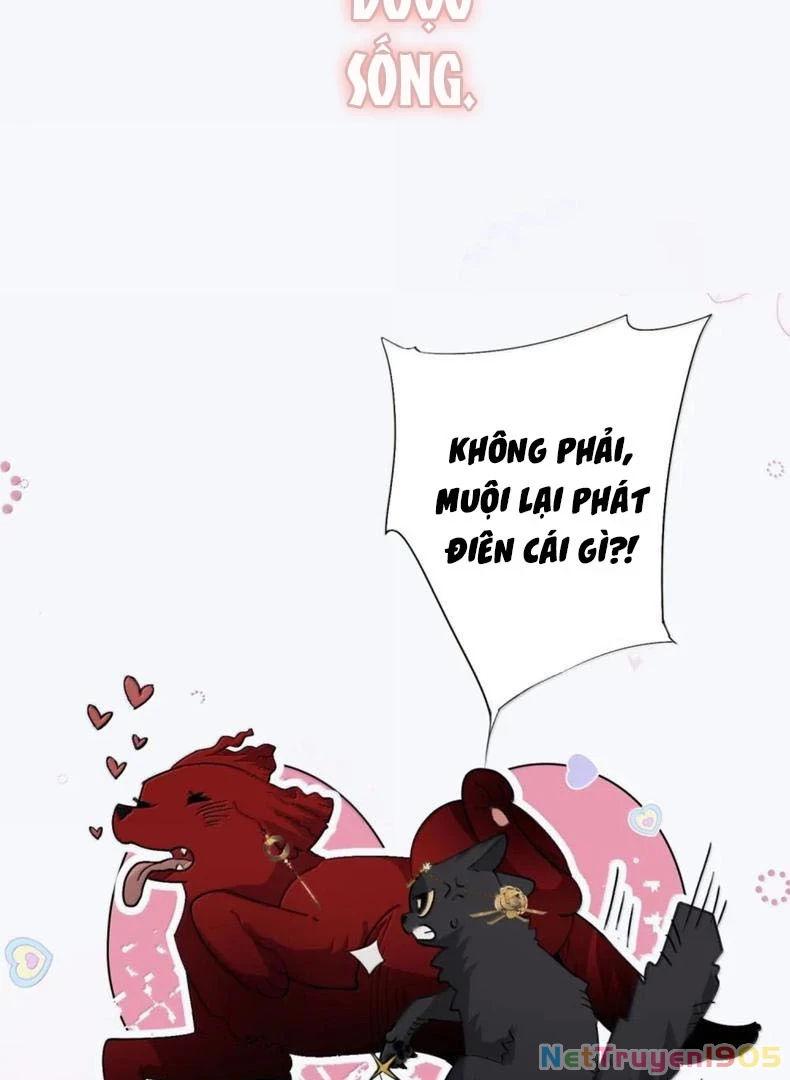 Quấn Quýt Chapter 22 - Trang 2