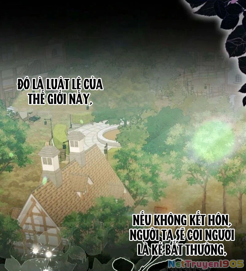Nhặt Được Ông Chồng Đáng Ngờ Chapter 2 - Trang 2