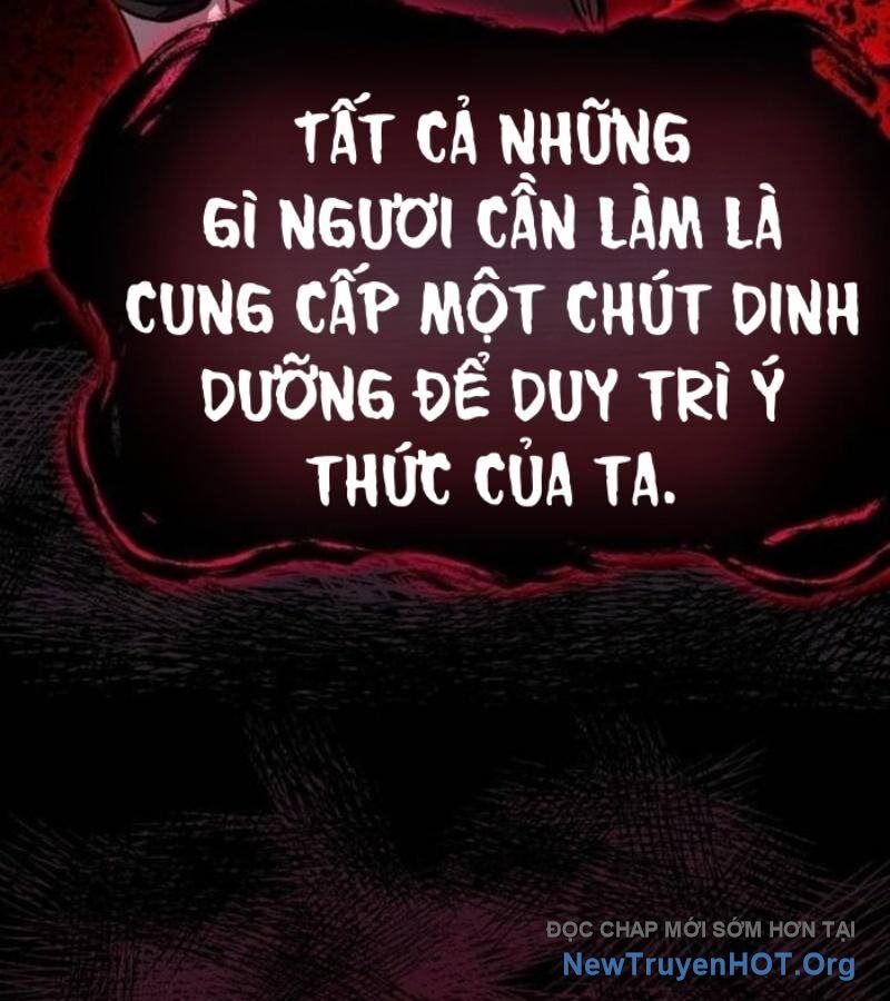 Lỗi Hệ Thống Chapter 33 - Trang 2