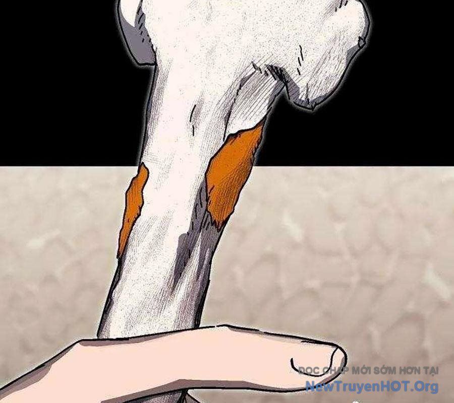 Lỗi Hệ Thống Chapter 42 - Trang 2