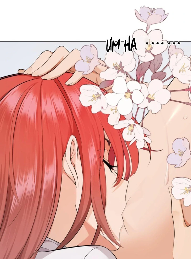 Đại Lão, Đầu Cô Lại Rớt Rồi Kìa! Chapter 17 - Trang 2