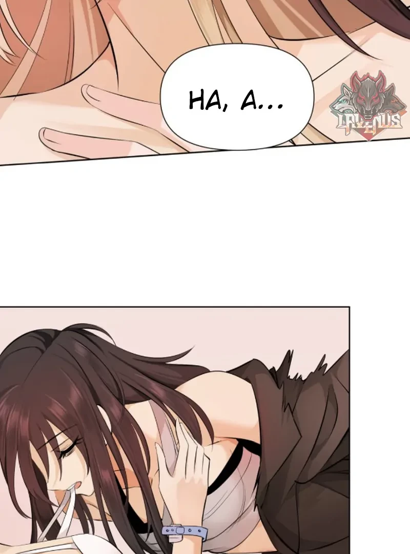 Đại Lão, Đầu Cô Lại Rớt Rồi Kìa! Chapter 19 - Trang 2
