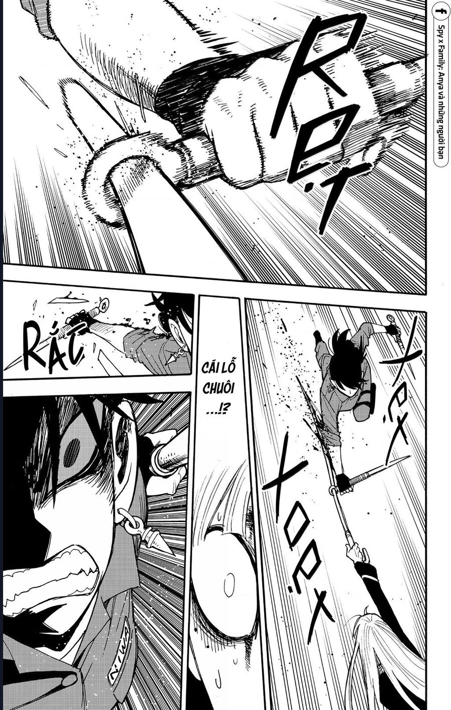 Gia Đình Điệp Viên Chapter 117 - Trang 2