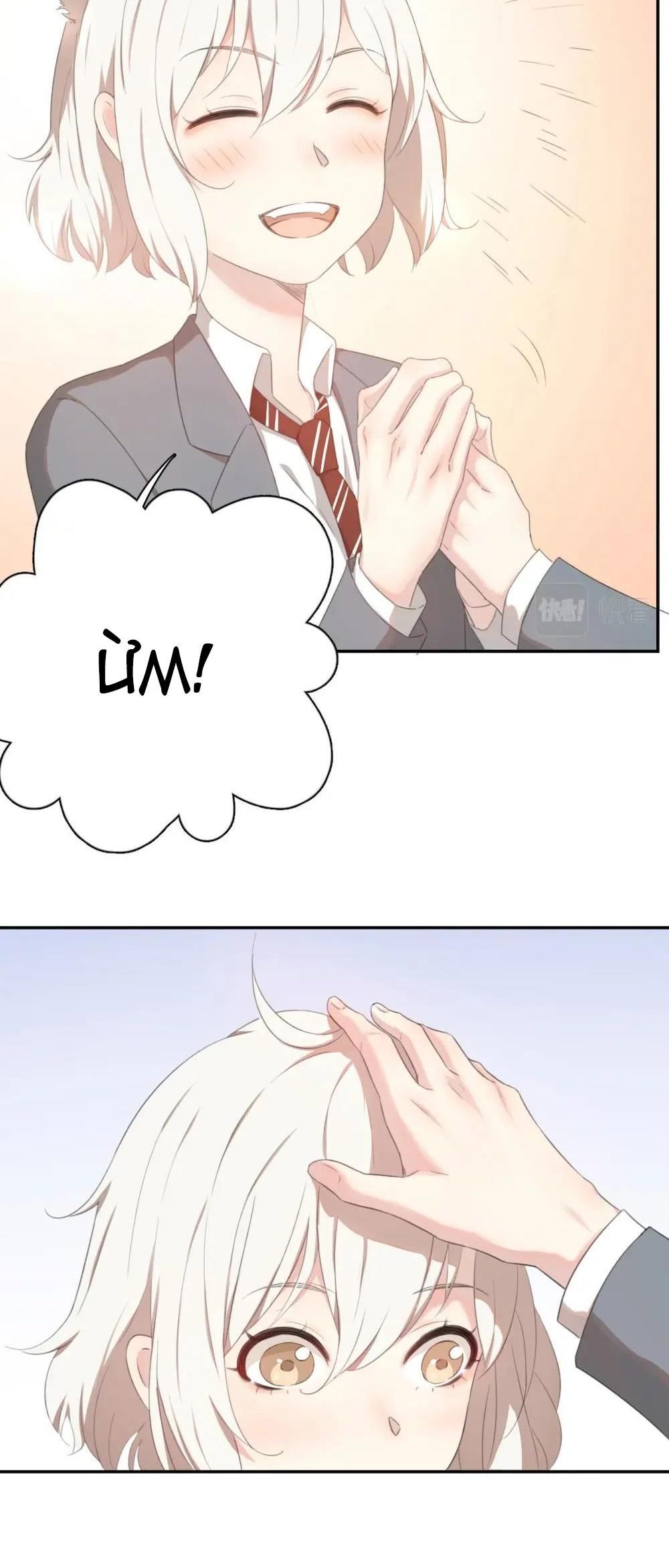 Hôm Nay Cô Ấy Cũng Rất Dễ Thương Chapter 3 - Trang 2