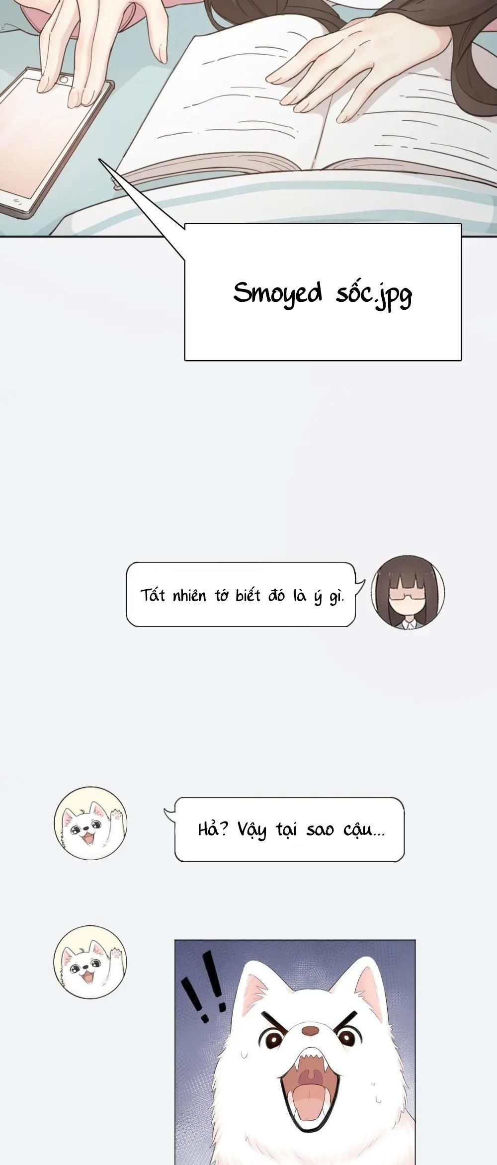 Hôm Nay Cô Ấy Cũng Rất Dễ Thương Chapter 17 - Trang 2