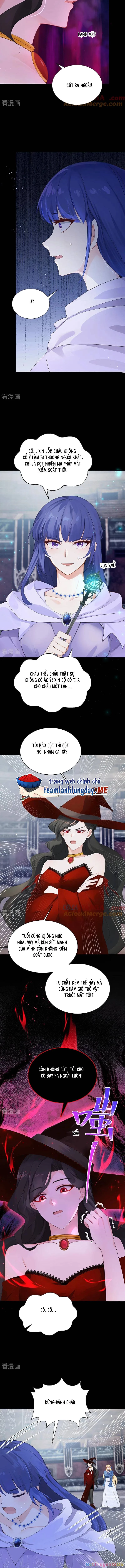 Sau Khi Nhường Lại Thiên Phú, Ta Trở Thành Bảo Bối Của Giới Pháp Thuật Chapter 20 - Trang 2