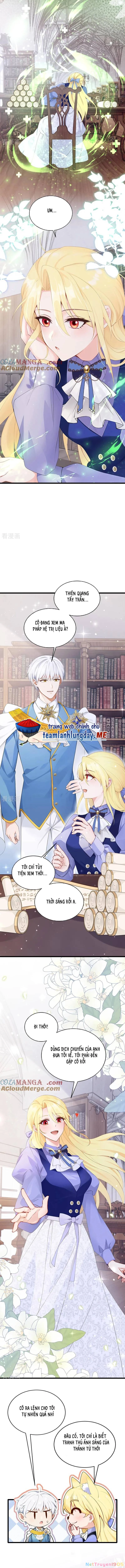 Sau Khi Nhường Lại Thiên Phú, Ta Trở Thành Bảo Bối Của Giới Pháp Thuật Chapter 27 - Trang 2