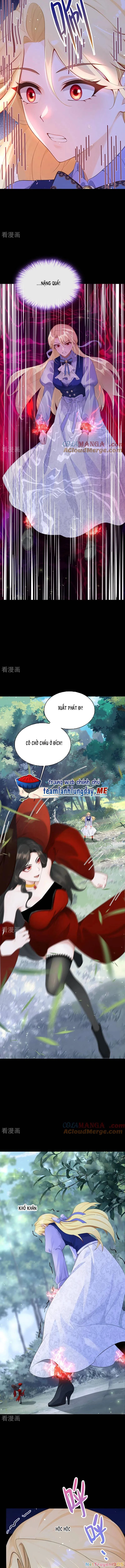 Sau Khi Nhường Lại Thiên Phú, Ta Trở Thành Bảo Bối Của Giới Pháp Thuật Chapter 28 - Trang 2