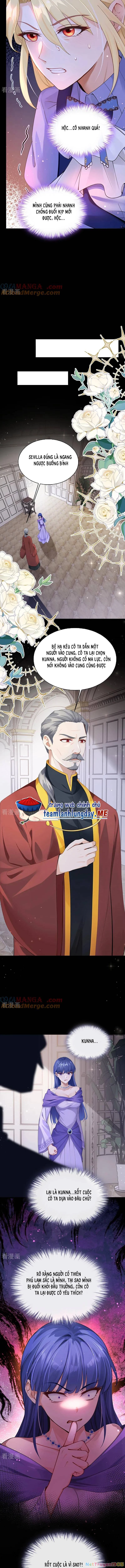 Sau Khi Nhường Lại Thiên Phú, Ta Trở Thành Bảo Bối Của Giới Pháp Thuật Chapter 28 - Trang 2