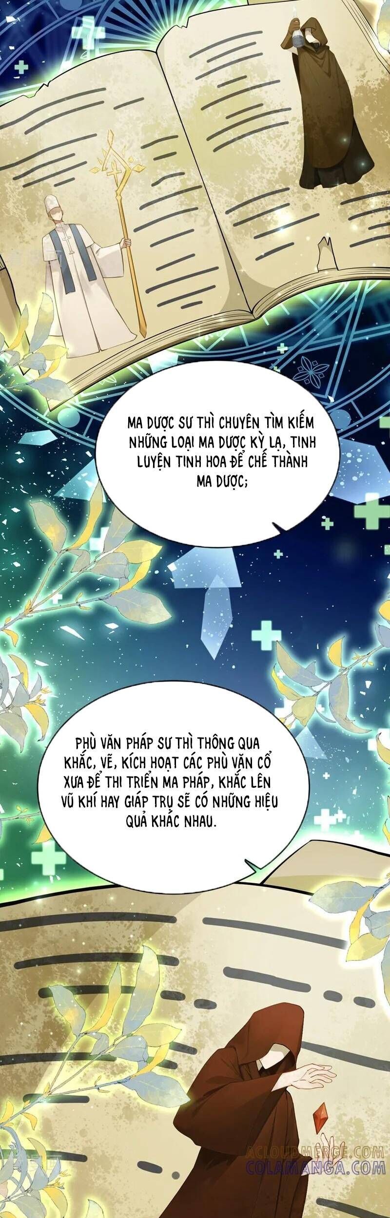 Sau Khi Nhường Lại Thiên Phú, Ta Trở Thành Bảo Bối Của Giới Pháp Thuật Chapter 31 - Trang 2