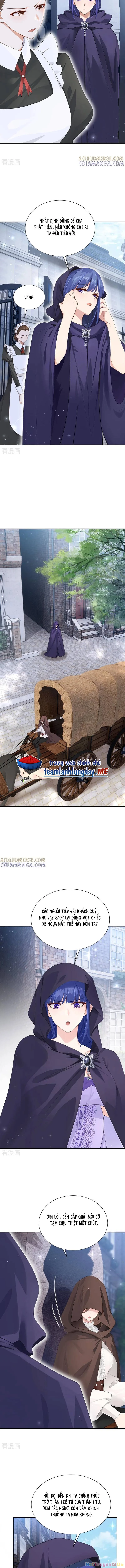 Sau Khi Nhường Lại Thiên Phú, Ta Trở Thành Bảo Bối Của Giới Pháp Thuật Chapter 33 - Trang 2