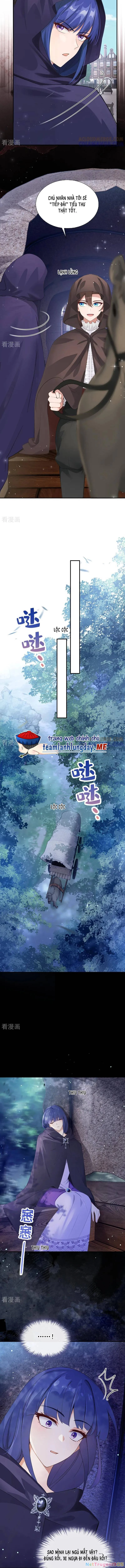 Sau Khi Nhường Lại Thiên Phú, Ta Trở Thành Bảo Bối Của Giới Pháp Thuật Chapter 33 - Trang 2