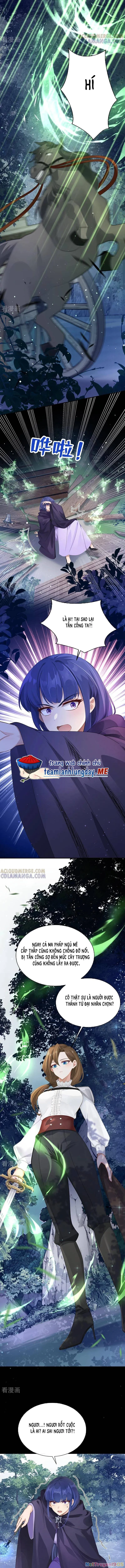 Sau Khi Nhường Lại Thiên Phú, Ta Trở Thành Bảo Bối Của Giới Pháp Thuật Chapter 33 - Trang 2