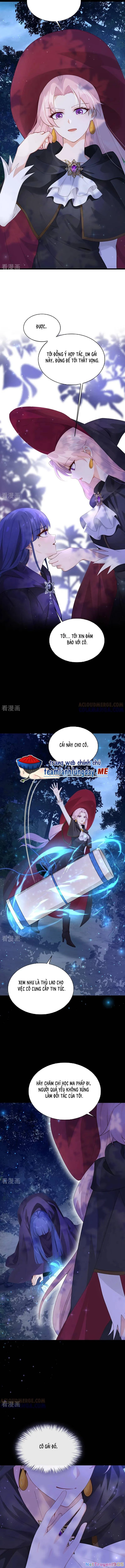 Sau Khi Nhường Lại Thiên Phú, Ta Trở Thành Bảo Bối Của Giới Pháp Thuật Chapter 34 - Trang 2