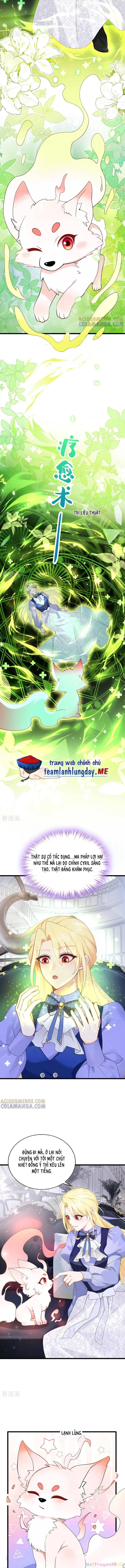 Sau Khi Nhường Lại Thiên Phú, Ta Trở Thành Bảo Bối Của Giới Pháp Thuật Chapter 34 - Trang 2