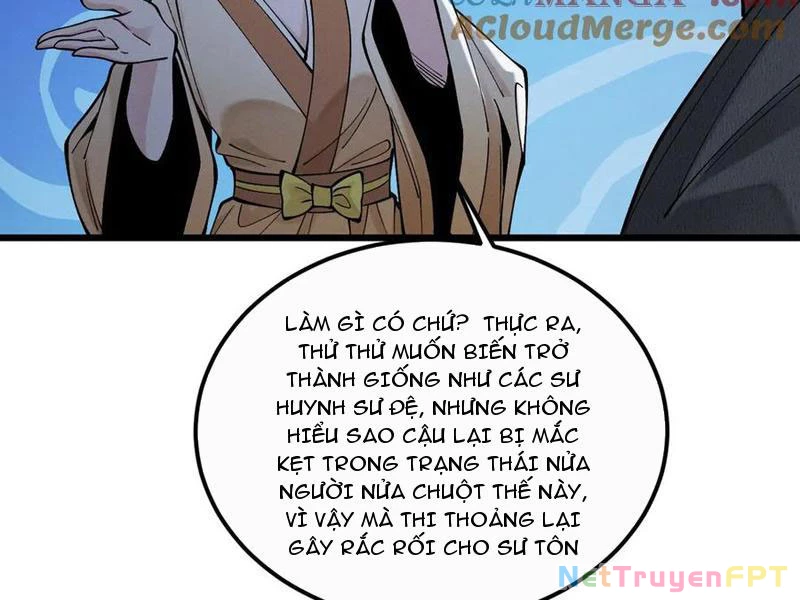 Gặp Mạnh Thì Mạnh, Ta Tu Vi Vô Thượng Hạn Chapter 33 - Trang 2