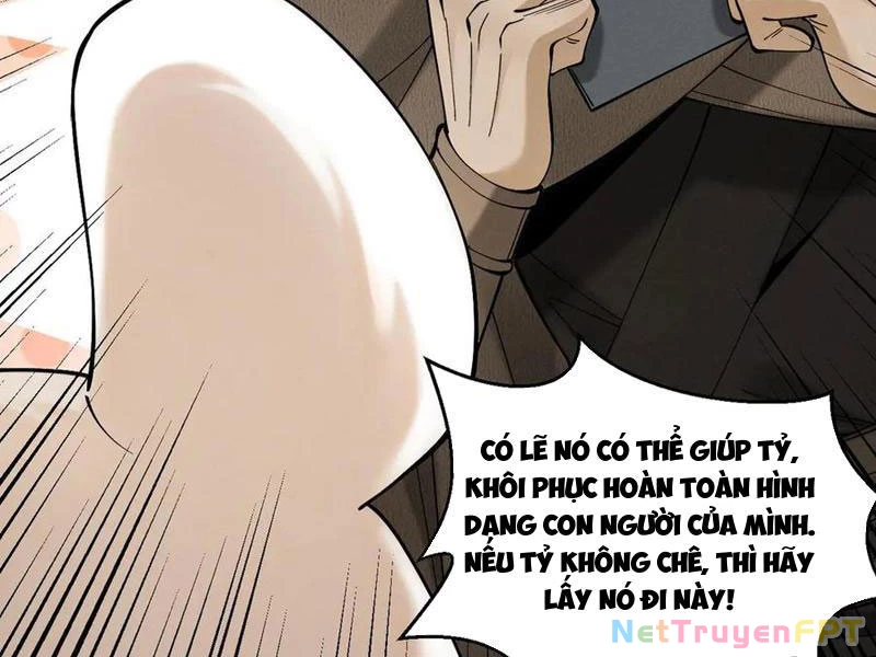 Gặp Mạnh Thì Mạnh, Ta Tu Vi Vô Thượng Hạn Chapter 33 - Trang 2