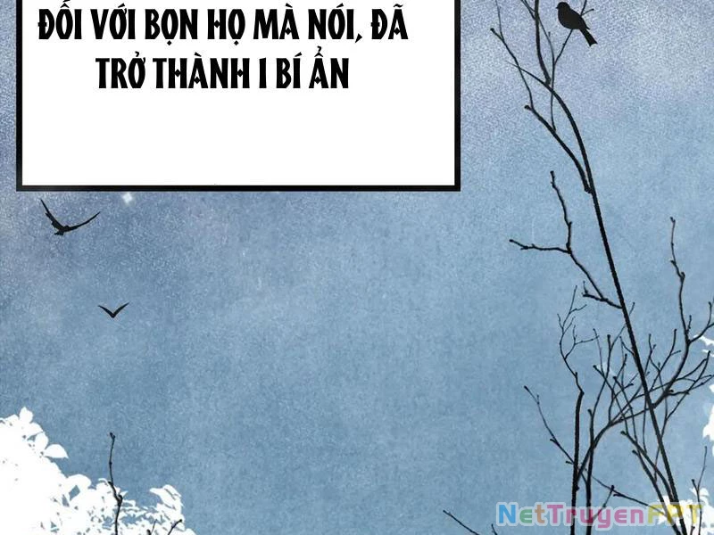 Gặp Mạnh Thì Mạnh, Ta Tu Vi Vô Thượng Hạn Chapter 33 - Trang 2