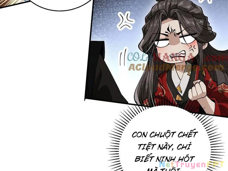 Gặp Mạnh Thì Mạnh, Ta Tu Vi Vô Thượng Hạn Chapter 33 - Trang 2