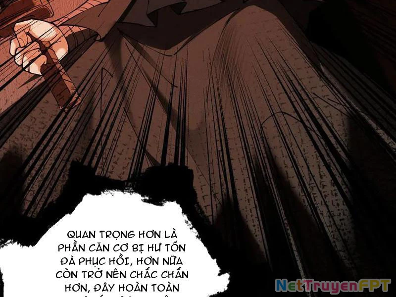 Gặp Mạnh Thì Mạnh, Ta Tu Vi Vô Thượng Hạn Chapter 33 - Trang 2