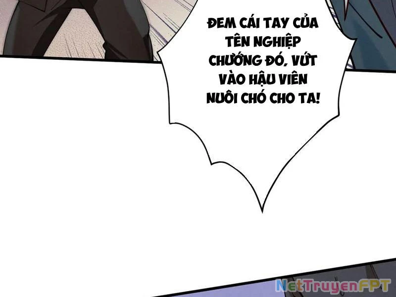 Gặp Mạnh Thì Mạnh, Ta Tu Vi Vô Thượng Hạn Chapter 33 - Trang 2