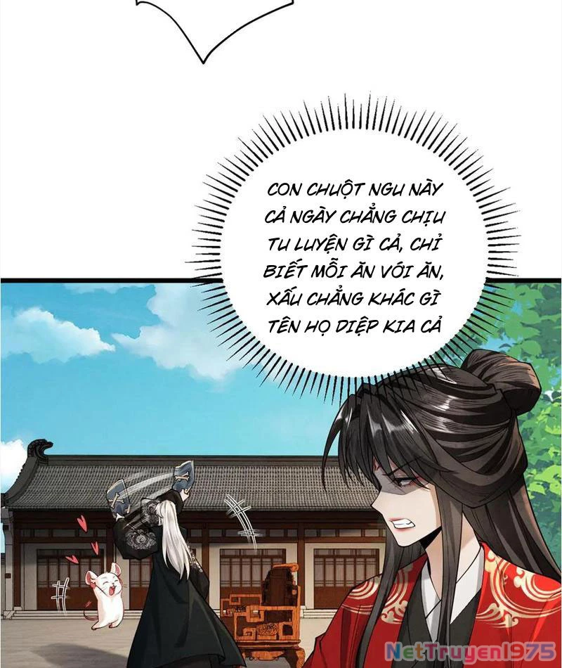 Gặp Mạnh Thì Mạnh, Ta Tu Vi Vô Thượng Hạn Chapter 38 - Trang 2