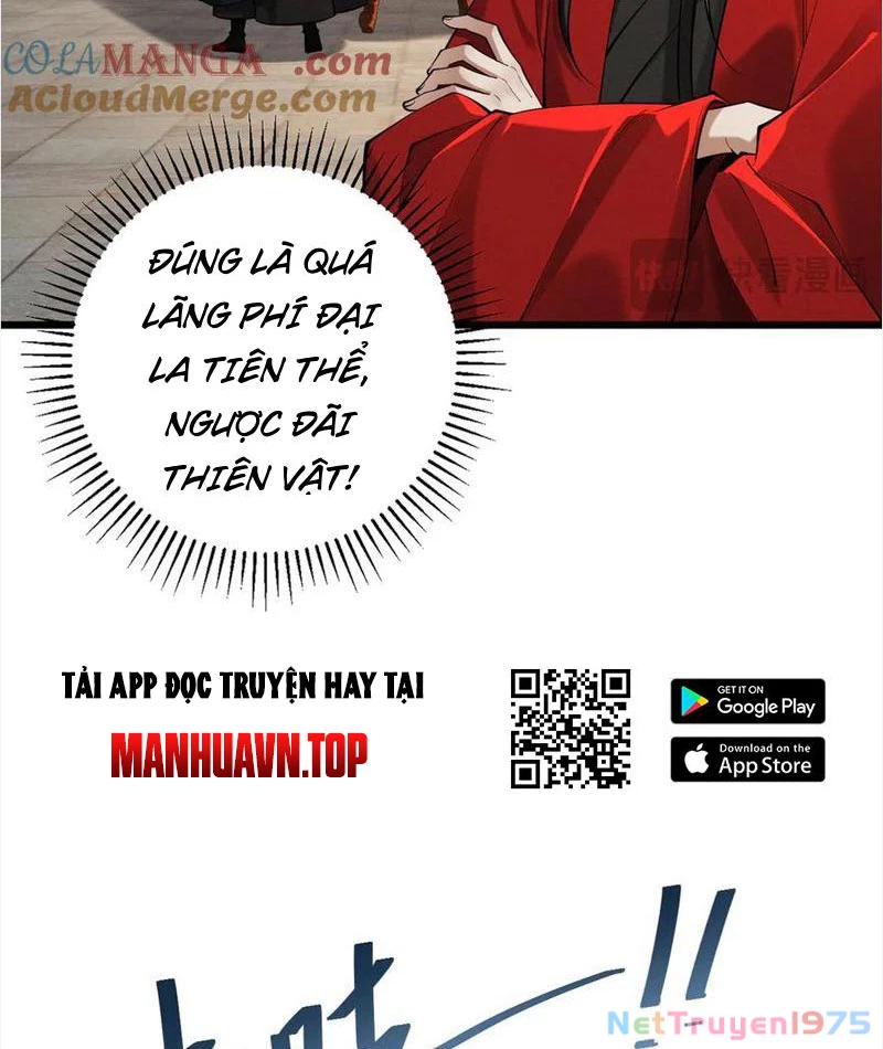 Gặp Mạnh Thì Mạnh, Ta Tu Vi Vô Thượng Hạn Chapter 38 - Trang 2