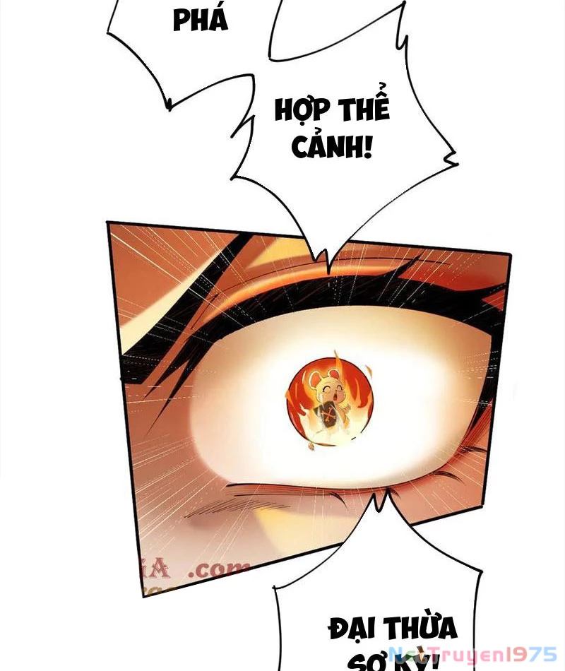 Gặp Mạnh Thì Mạnh, Ta Tu Vi Vô Thượng Hạn Chapter 38 - Trang 2