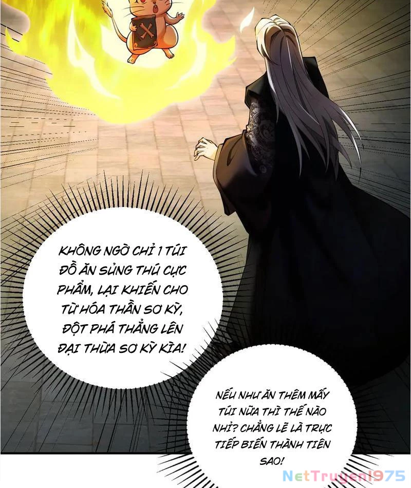 Gặp Mạnh Thì Mạnh, Ta Tu Vi Vô Thượng Hạn Chapter 38 - Trang 2