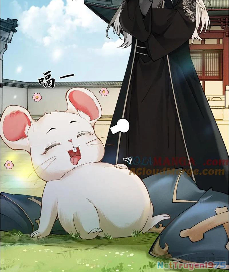 Gặp Mạnh Thì Mạnh, Ta Tu Vi Vô Thượng Hạn Chapter 38 - Trang 2