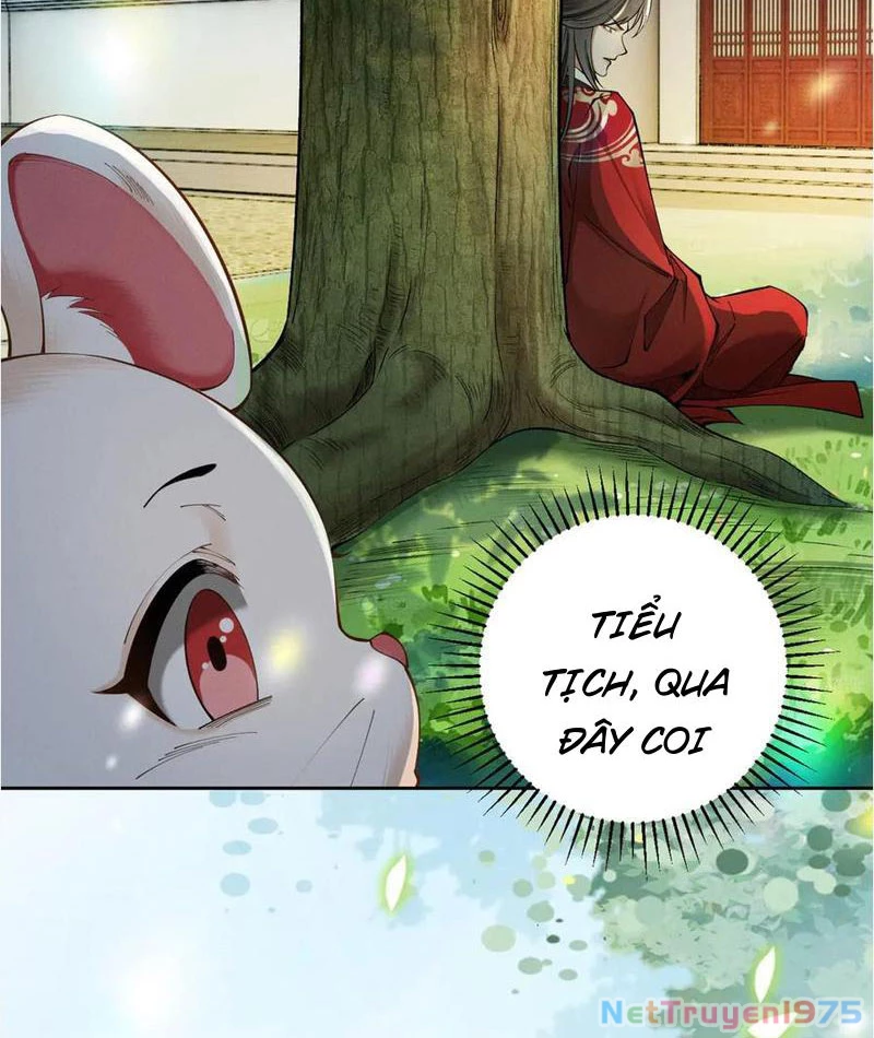 Gặp Mạnh Thì Mạnh, Ta Tu Vi Vô Thượng Hạn Chapter 38 - Trang 2